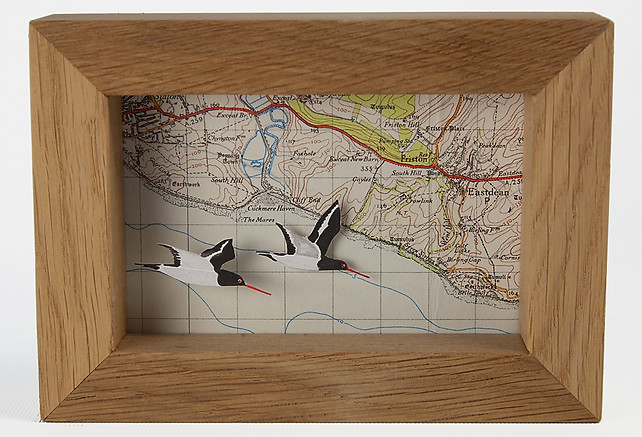 Oystercatchers over Cuckmere Haven.jpg