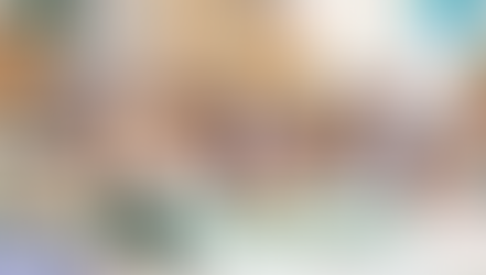 KLIMASTREIK VON BELÉM BIS BERLIN