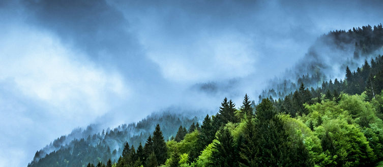 Britische Zeitungen lehnen Klimaschutzmaßnahmen erstmals stärker ab als unterstützen