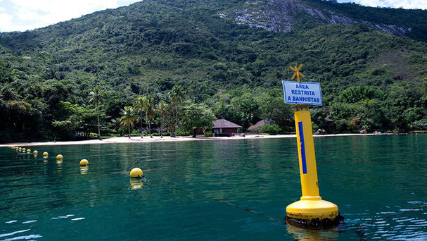 Alerta em Paraty: empreendimento turístico põe em risco biodiversidade e comunidades