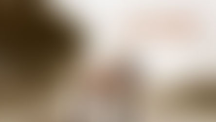 Filme inédito expõe realidade dos atropelamentos de animais silvestres e a invisibilidade do tema