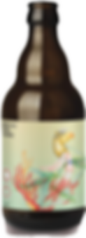 BRASSEURS CUEILLEURS MAREE  IODEE Bio Noire tourbée 4° 33cl