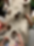 9B3FA6E3-2798-42C8-904C-821386E785FC.heic