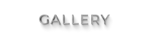 text_home-x-one_GALLERY.png