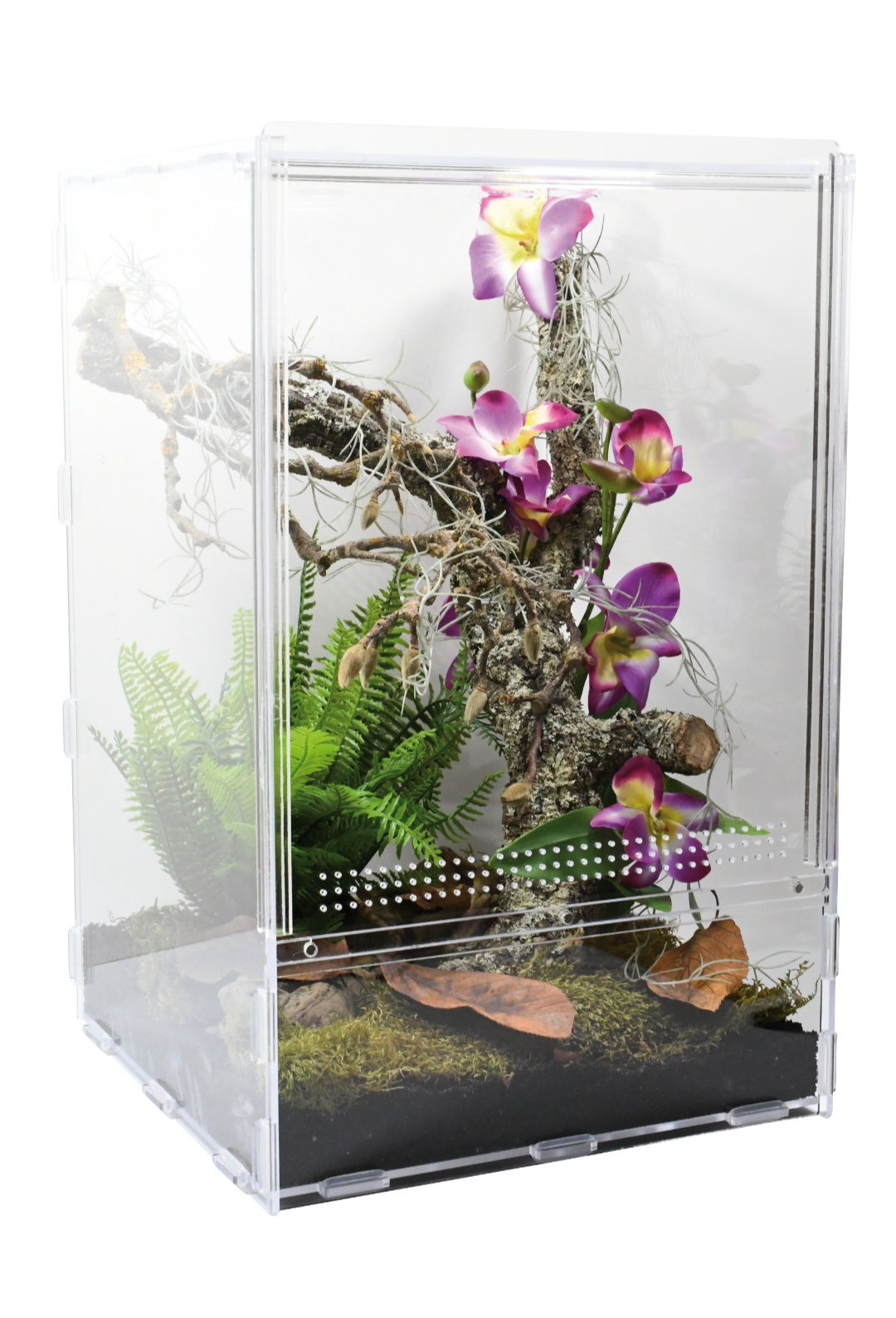 LifeTarrium von Lucky Reptile