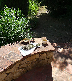 P1040344.JPG
