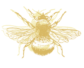 Miller Therapy services, llc (1).png