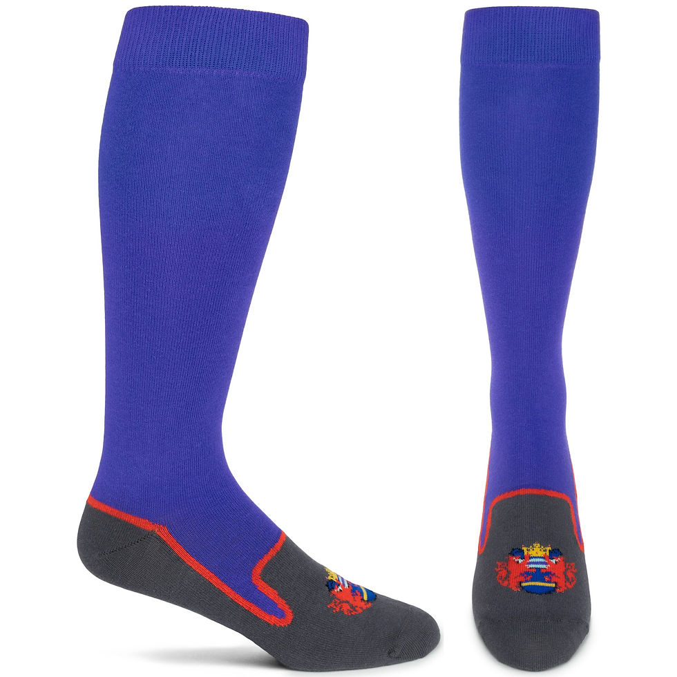 Thumbnail: Heraldic Albert Slipper Shoe Sock