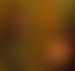 Erik Curtis Director of Photography