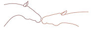 BANNER_edited.jpg
