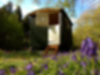 Shepherds hut in the bluebells