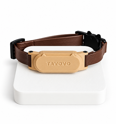TAVOVO Variante B 01.png