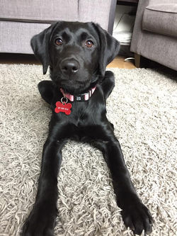 23244469_10102243115212139_3623433978919