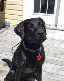 34646819_10156401771082964_8238090939831