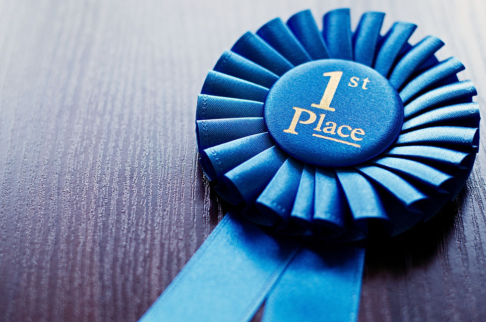 Blue first place winner rosette or badge from pleated ribbon with central text to be award