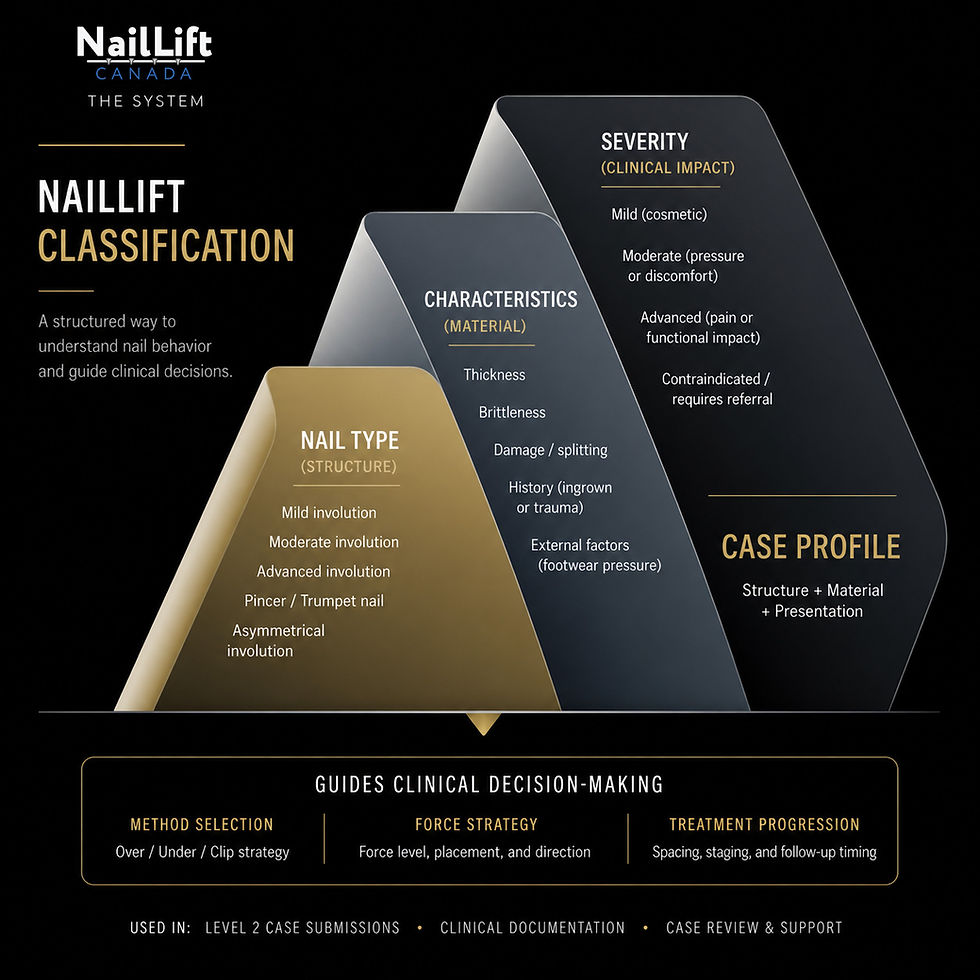 Introducing a Structured Approach to Nail Classification