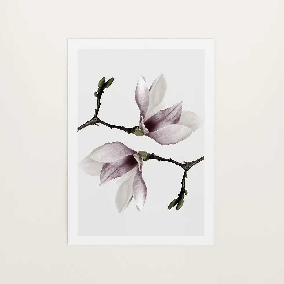 Magnolia Twins, Art Print von Tales by Jen