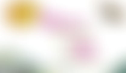 Stories From the Life of Musa 5-in-1 – Quran Stories for Muslim Children in the US