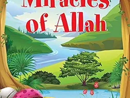 Miracles of Allah (4-in-1) – A FAQ Guide for Muslim Families in the US | Masha Books