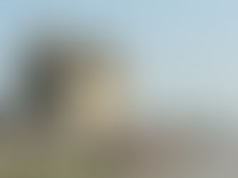 India’s 1991 Reform: Better Late than Never