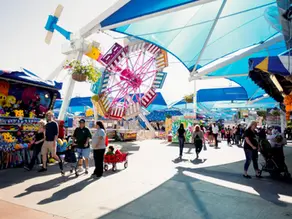 Judge allows Texas State Fair’s gun ban to stand for now