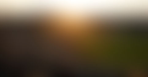 As an era ends, the city that was home to the Oakland A's comes to grips with their departure