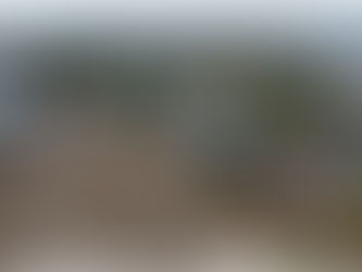 At least 52 dead and millions without power after Helene's deadly march across southeastern US