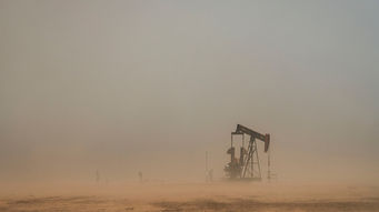 New Mexico legislators OK increase on future oil royalty rates for prime land