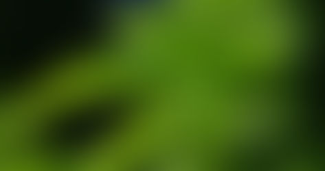 US health authorities need to play a larger role in cannabis policy, a new report says