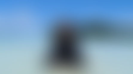 Streamline Tourism Data Collection and Grant Tracking