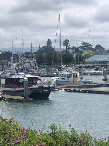 Humboldt Bay Marina