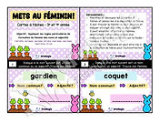 Cartes à tâches - Mets au féminin - Règles de formation du féminin noms et adjectifs