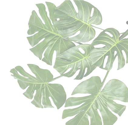 Frame 1430103671.png