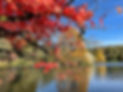 National Trust Stourhead.