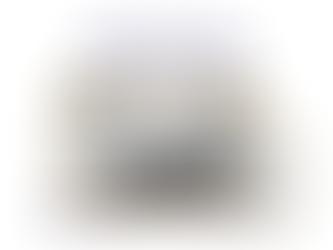 An image of Schrijver Damp Proofing System and the blog title.