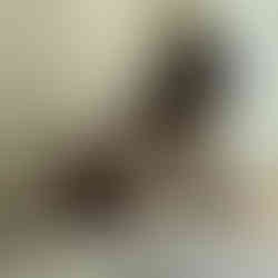 escort ibiza escort ibiza escort a ibiza ibizaescorts escort ibiza escort di lusso, agenzia e