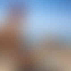 Agenzie di escort colombiane, escort colombiane, escort top model, escort di lusso, massaggi erotici