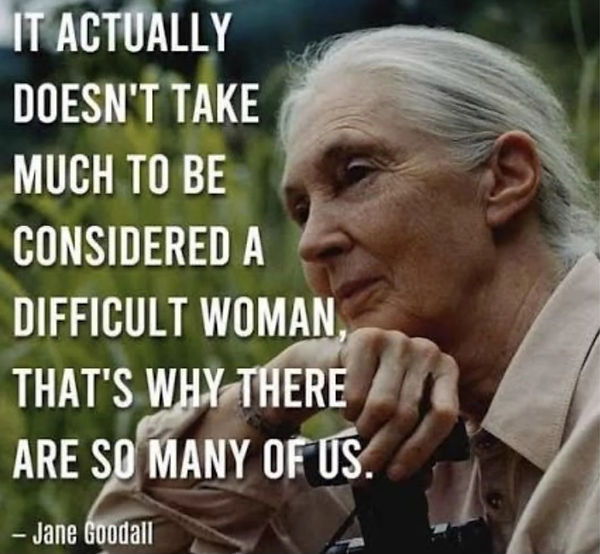 Difficult woman, Jane goodall.jpg
