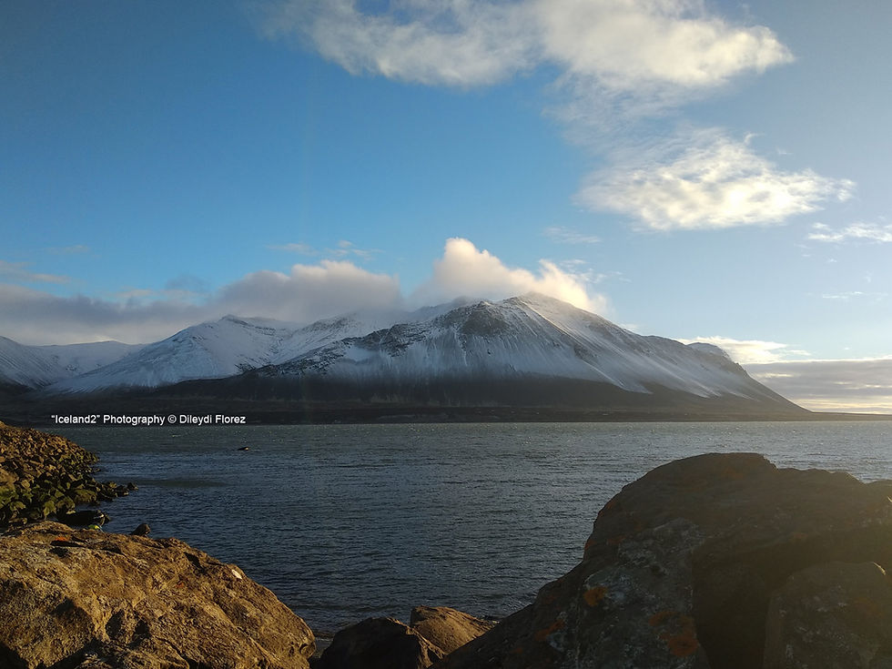 Following and Persevering on making the dream come true. 