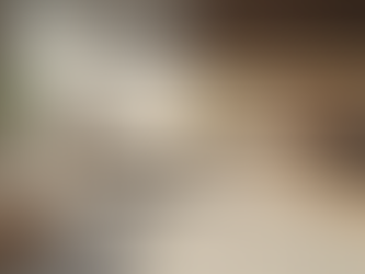 Enhance Your Space with Casalux Craftsmanship Solutions