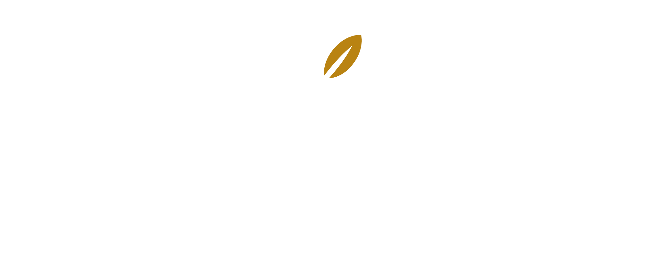Logos PNG-06.png