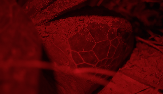 Captura de pantalla 2024-03-14 a la(s) 10.02.27 a. m..png