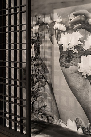 Harry McAlpine_Push'n Up Daisies_2025_08_01-009.jpg