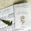 Miniature : Zine Filicophyta