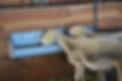 IMG-20260311-WA0007_edited.jpg