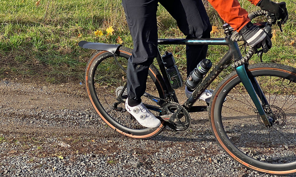 Миниатюра: Крыло заднее Ass Saver Win Wing 2 Gravel Golden Stealth