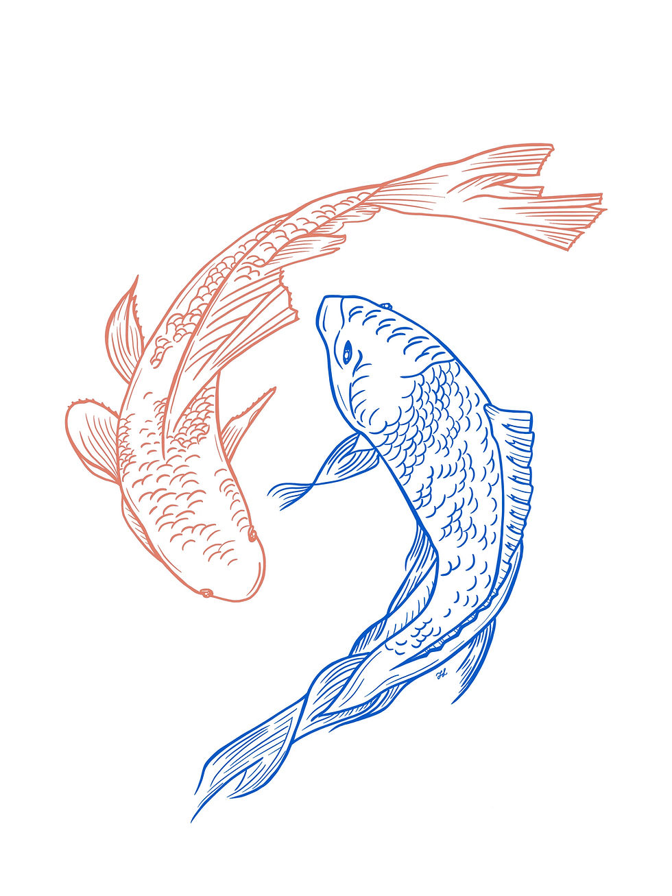 Red & Blue Koi Fish