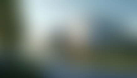 The Role of Regulations in Shaping Patient Care