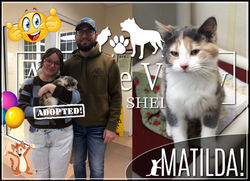 Matilda Adoption