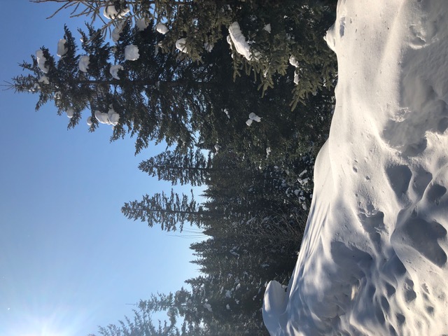 Snow Scenes